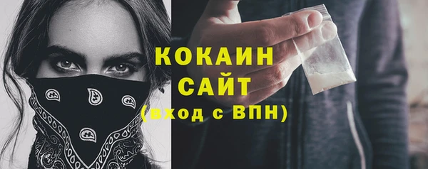 стафф Новодвинск