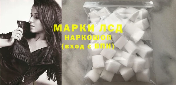 a pvp Новозыбков