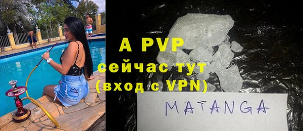 стафф Новодвинск