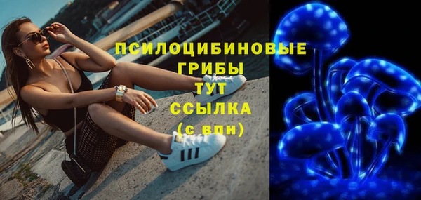 стафф Новодвинск