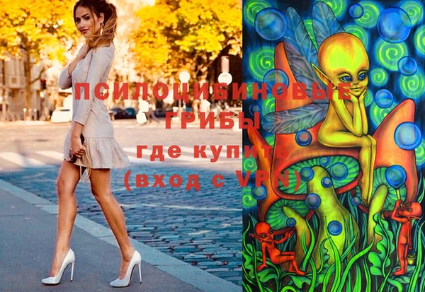 стафф Новодвинск