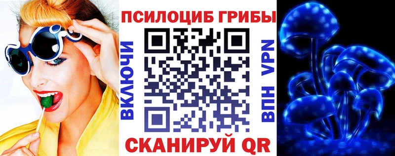 Купить  Тихорецк  Галлюциногенные грибы GOLDEN TEACHER 
